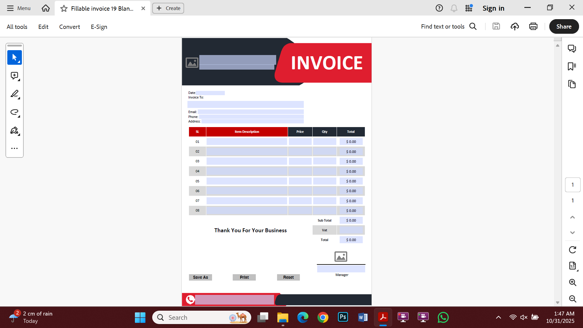 Professional Fillable PDF Template Design 19 Preview
