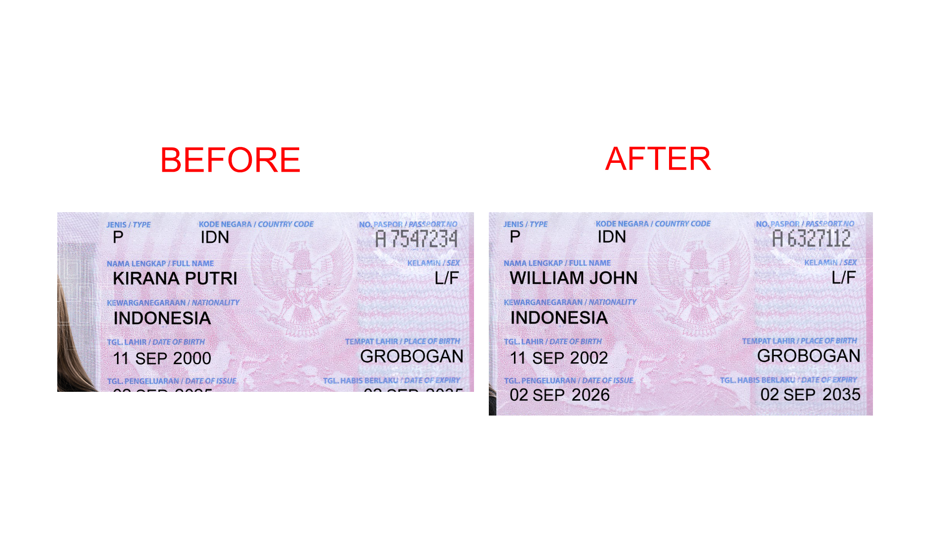 Sample scan pdf editor work preview